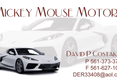 Micky Mouse Motors